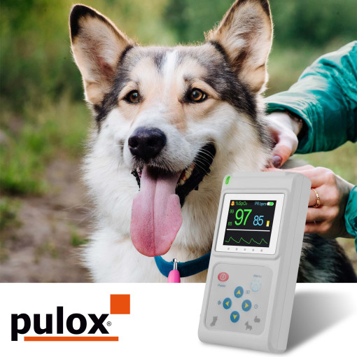 Pulox PO-600VET Veterinär Pulsoximeter